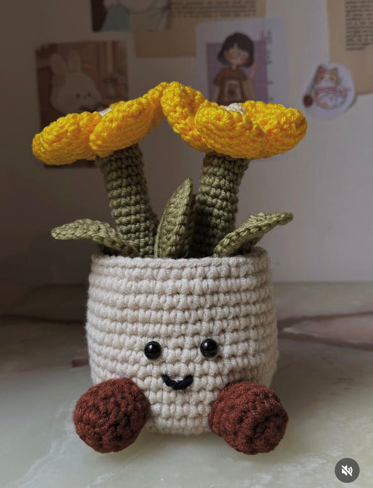 Flower Pot